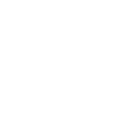 Property Development